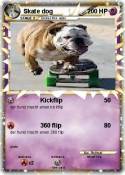 Skate dog