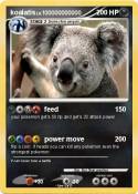 koalatis