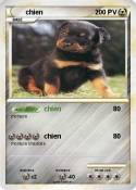 chien