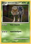 berger allemand