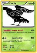 crow fly