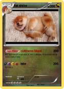 fat shibe