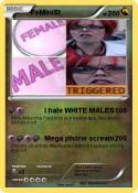 FeMIniSt