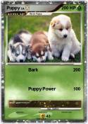 Puppy