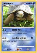 tartaruga