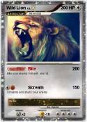 Wild Lion