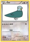 bird