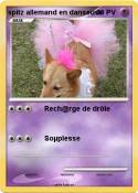 spitz allemand