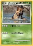 berger allemand
