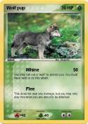 Wolf pup