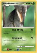 koala-éléphant