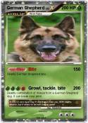 German Shepherd