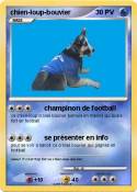 chien-loup-bouvier