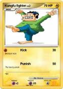 Kungfu fighter