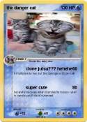 the danger cat