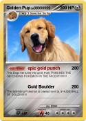 Golden Pup