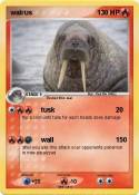 walrus