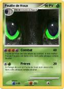 Feuille de Houx