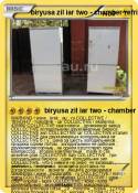 biryusa zil