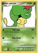 grown caterpie