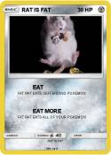 RAT IS FAT