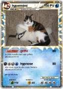 hypermimi