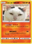 I am cat 