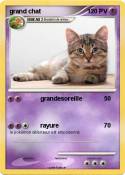 grand chat