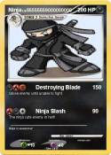 Ninja