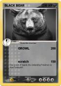 BLACK BEAR
