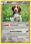 Shiloh