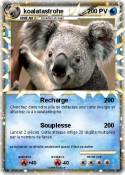 koalatastrohe