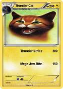 Thunder Cat
