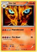 Fire Cat