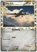 Big bird
