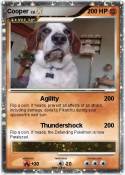 Cooper