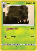 cat