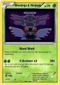 Shedinja & Ninj