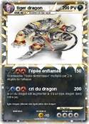 tiger dragon