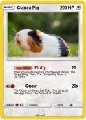 Guinea Pig
