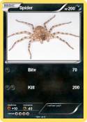 Spider
