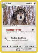 Wolf