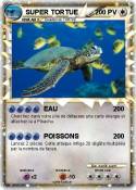 SUPER TORTUE