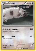 cute cat