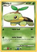 turtwig