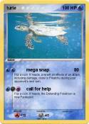 turle