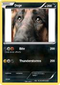 Doge