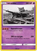 cat soldier