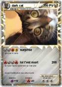 dark cat