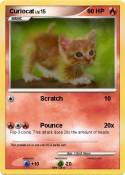 Curiocat